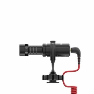 videomicro 500x500 1.jpg