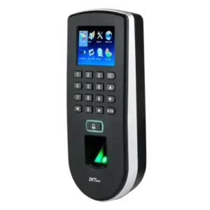 f19 01 500x500 1.webp