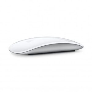 magic mouse 01 500x500 1.jpg