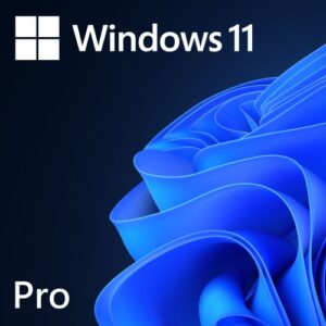 windows 11 pro 02 500x500 1.jpg