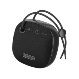 celebrat sp 19 01 500x500 1.webp