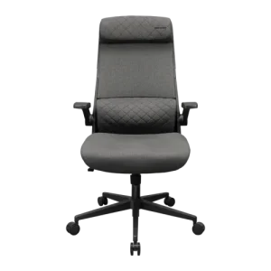 stryder grey 10 500x500 1.webp